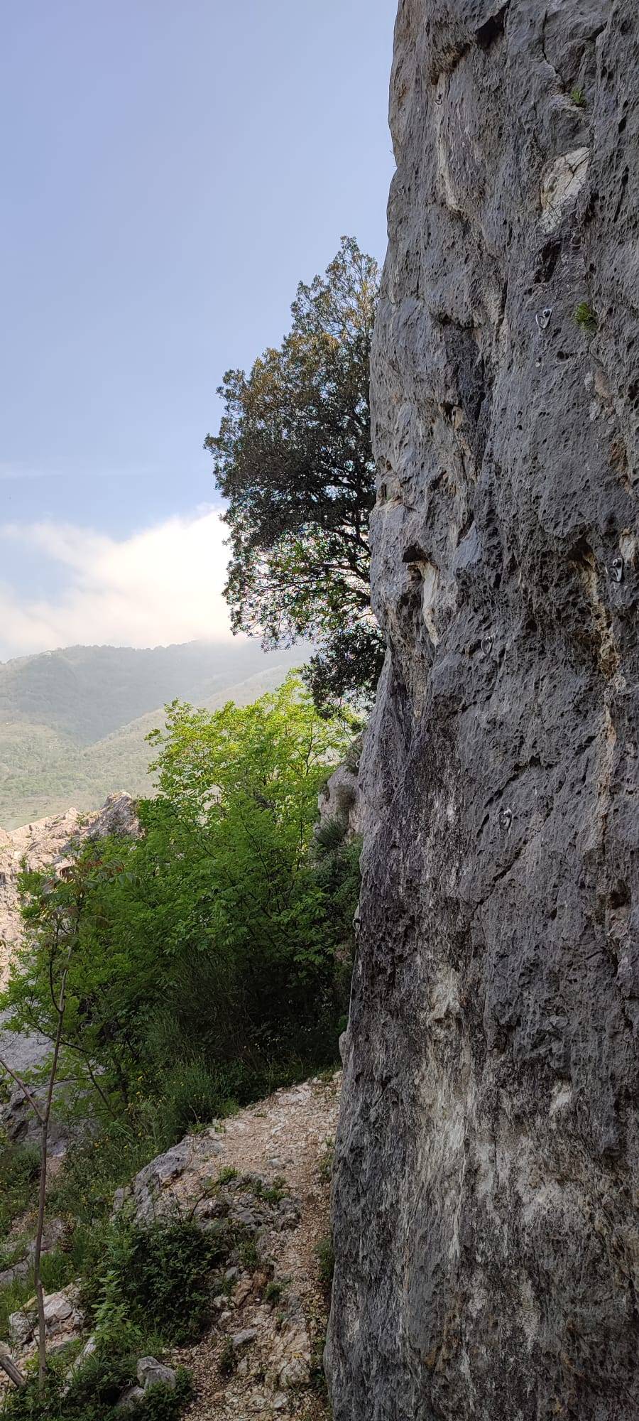 roccia