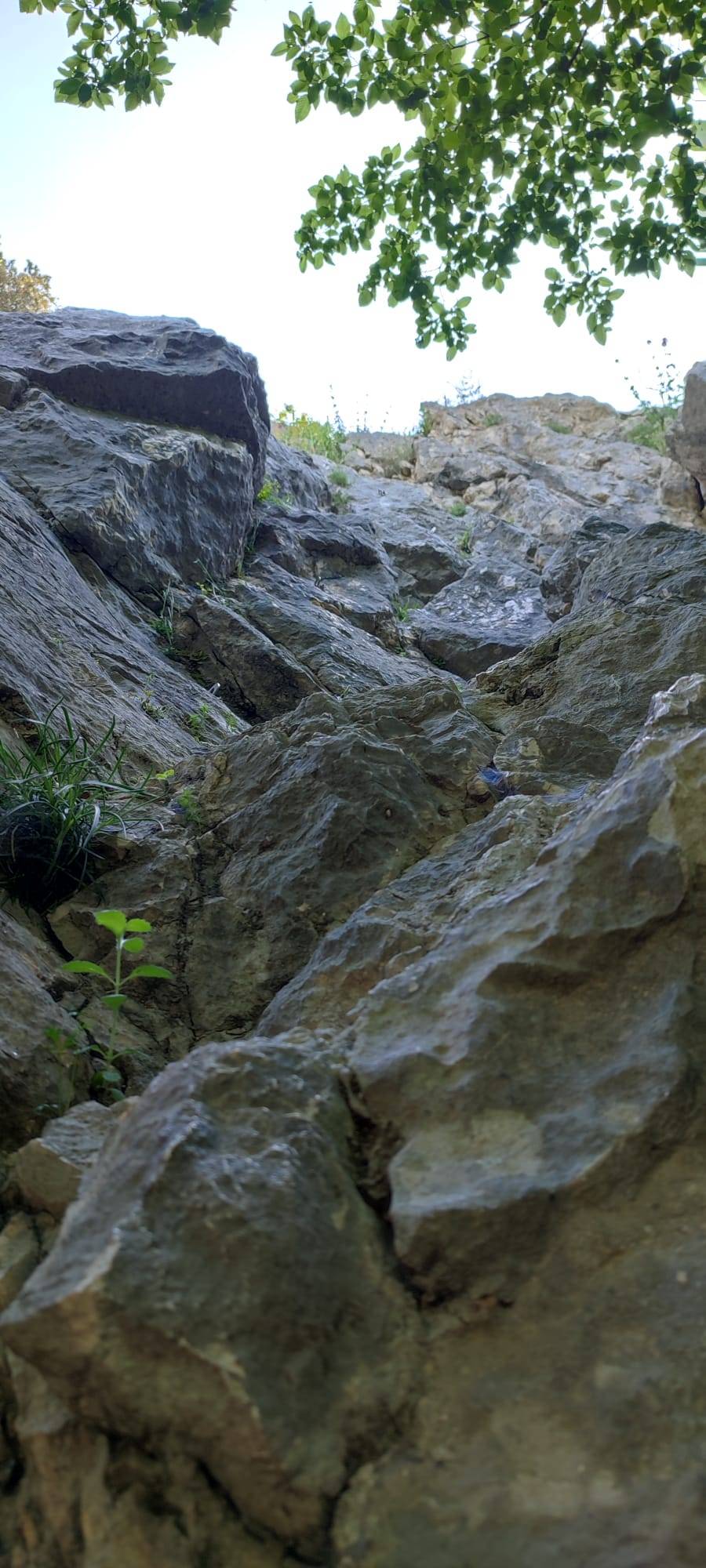 roccia