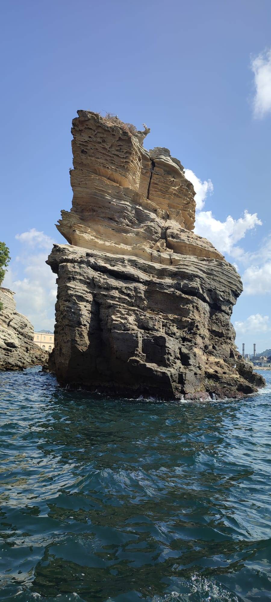 mare