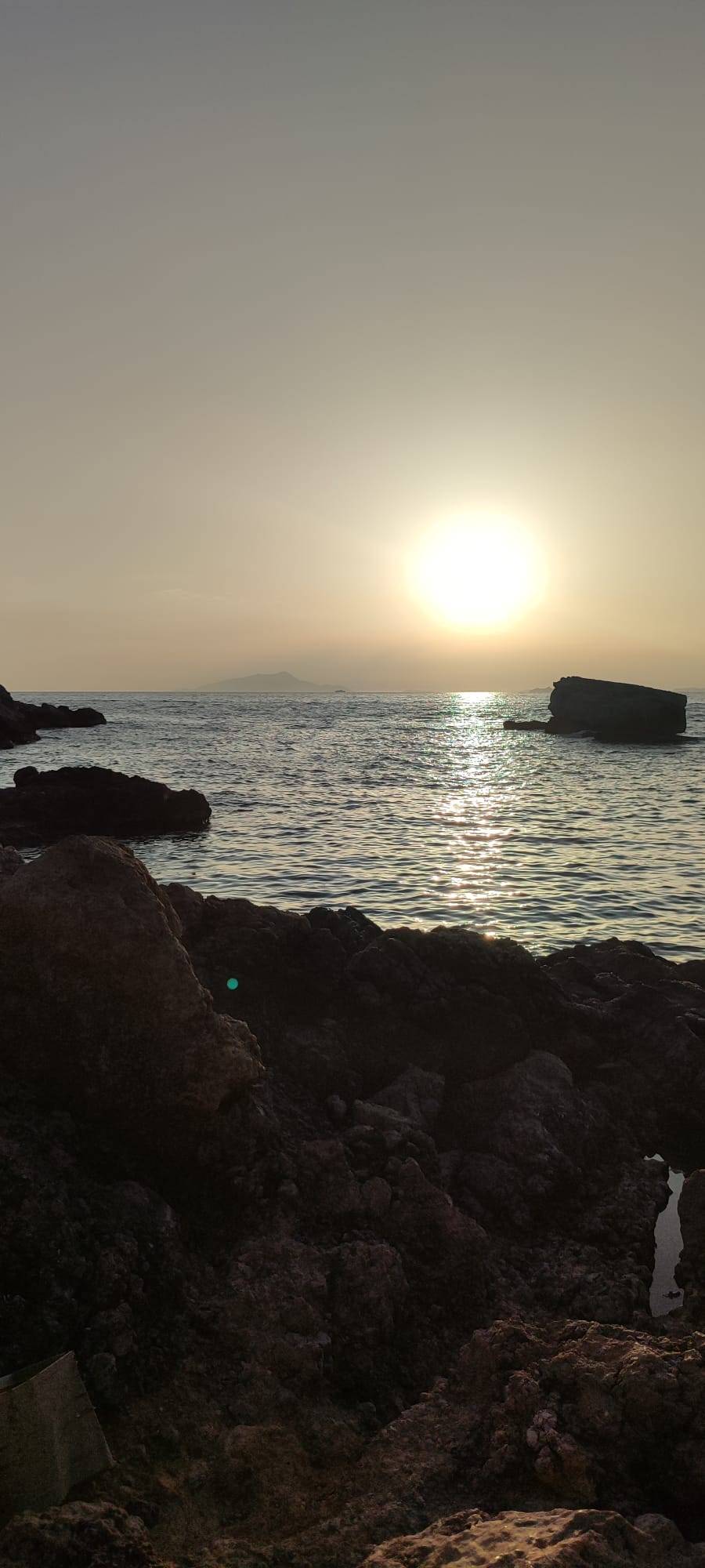 mare