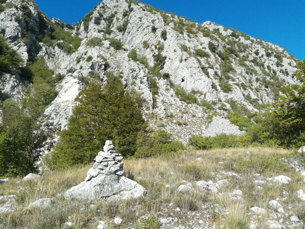 aree d'interesse verticalità