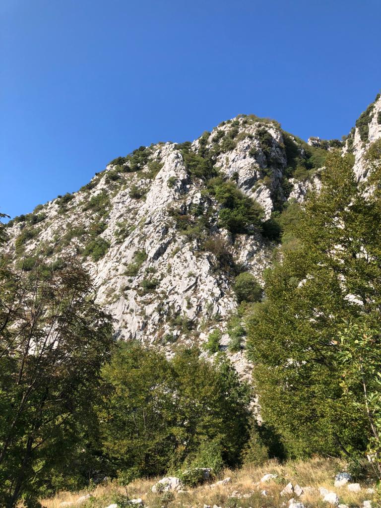 SCALA PROTEGGIBBILITÀ