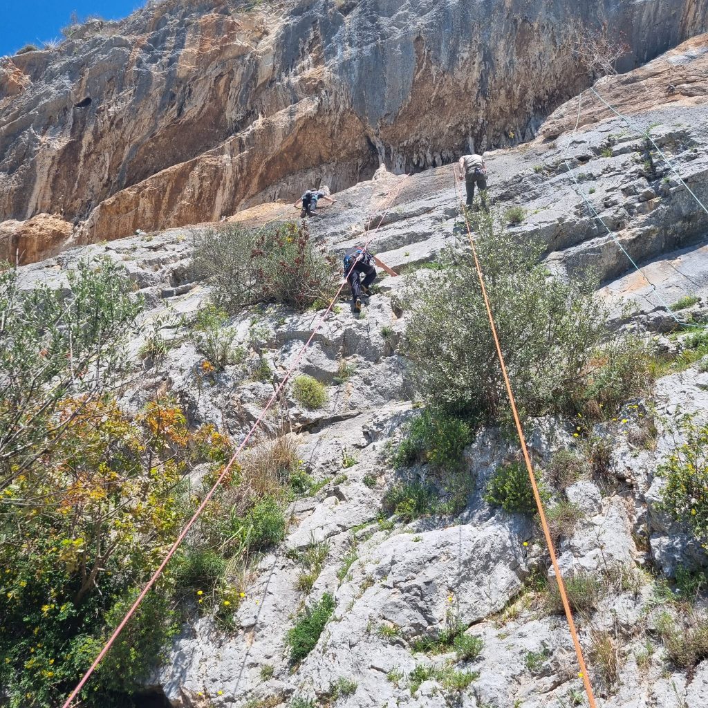 catena di assicurazione
