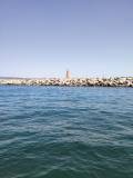 IMG-20220810-WA0049