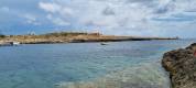 IMG-20220822-WA0116