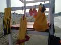 WhatsApp Image 2021-06-22 at 09.41.36 (5)